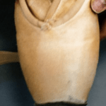 Less Painful Ballet Shoes Are Available, At Last