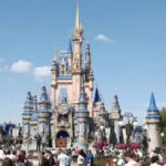 Disney Tries To Get Wrongful Death Lawsuit Dismissed Because Dead Woman Agreed To Disney+ Terms Of Service