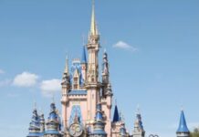 Disney Tries To Get Wrongful Death Lawsuit Dismissed Because Dead Woman Agreed To Disney+ Terms Of Service