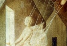 The Biological Case Against Free Will