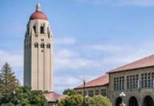 Stanford Is Laying Off Creative Writing Lecturers. The World Protests