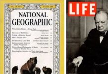 The Death Of Magazines