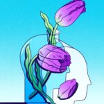 How We Build Learning Over Time