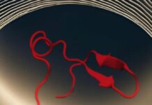 We Use Visualizations To Understand Data. But We Can Use Music Too