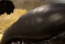 The Guys Who Design Those Really Intense Movie Theatre Popcorn Buckets