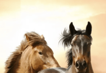 In The Era Of Deep Doubt, How Do We Know What’s Real?