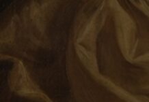 Turns Out The Humanities Are Hard To Kill