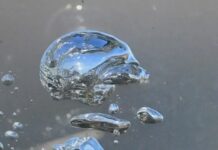 Is Life Simply A Product Of Algorithms?