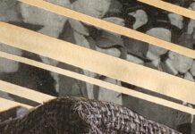 Ta-Nehisi Coates And The Power Of Words: No Wonder They Want To Ban Books