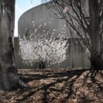 After 50 Years, The Hirshhorn Museum Is Dealing With Something New: Popular Success