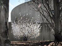 After 50 Years, The Hirshhorn Museum Is Dealing With Something New: Popular Success