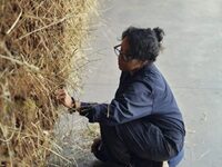 What Is It About A Work of Art That Gives A Person Genuine Chills? And Why Does That Seem To Happen So Rarely With Visual Art?