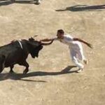 La Course Camarguaise, The Non-Lethal Bull-Not-Exactly-Fighting Of Southwestern France