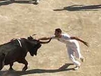La Course Camarguaise, The Non-Lethal Bull-Not-Exactly-Fighting Of Southwestern France