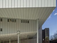 Whitney Museum To Make Admission Free For Those 25 And Under, Thanks To Julie Mehretu