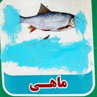 Taliban To Ban From Afghan Media Images Of All Living Things