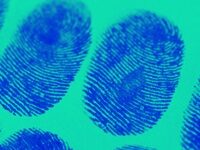 Is The True Crime Podcast Genre Returning To Its Public Radio Roots?