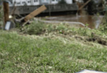 Asheville’s Biggest Tourist Attraction Might Not Be Fully In Ruins, But The Town Around It Sure Is