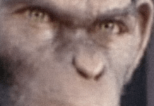 The Music Documentary Has Been Popular For Years