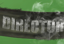 The Death Of The Auteur