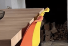 Talk About Reaching Back Down The Ladder