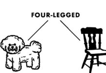 Does AI Understand Language Or…