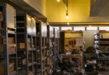 African Museum With Priceless Prehistoric Artifacts Faces Crisis