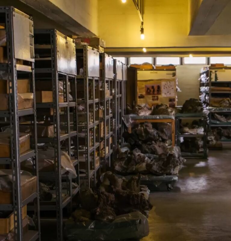 African Museum With Priceless Prehistoric Artifacts Faces Crisis