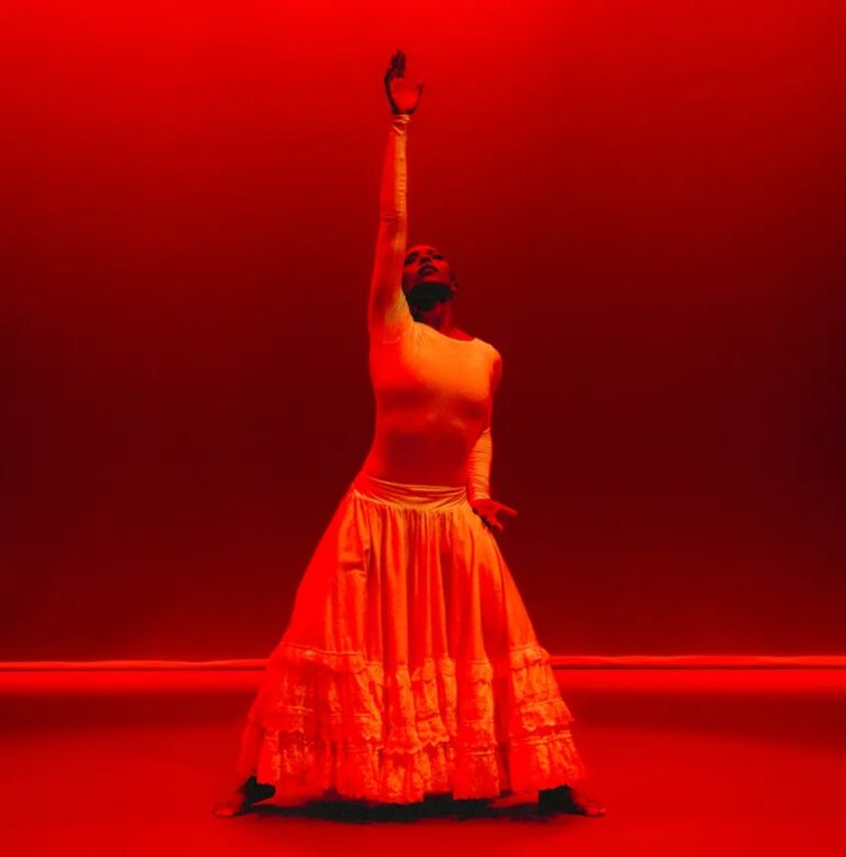 What Alvin Ailey Built