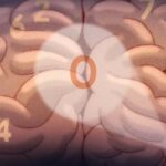 Why The Notion Of “Zero” Is Difficult To Grasp