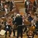 What Role Should Orchestras Play In Strengthening Democracy?