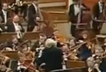 What Role Should Orchestras Play In Strengthening Democracy?