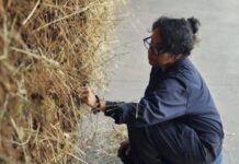 Why Some Art Gives You Chills (And Most Doesn’t)