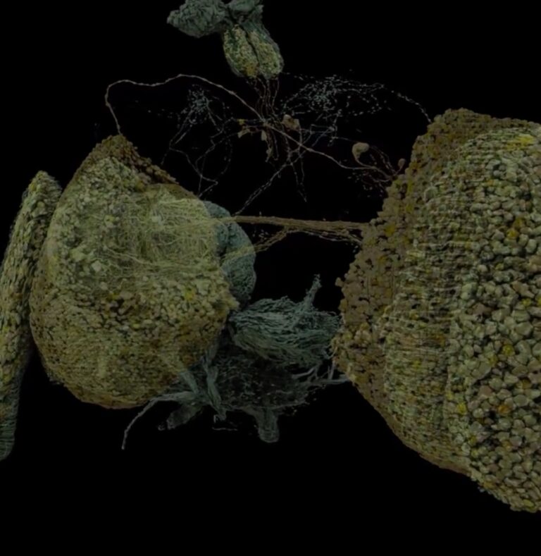 For The First Time, And After A Decade Of Work, Scientists Unveil Stunning Map Of A Brain