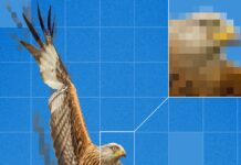 Close Examination Of AI Art Reveals Human Side