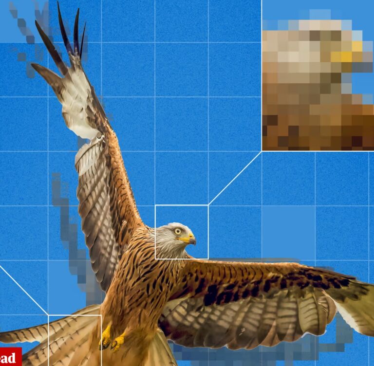 Close Examination Of AI Art Reveals Human Side