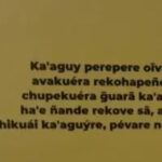 How Paraguayans Have Kept Their Indigenous Language Alive And Thriving