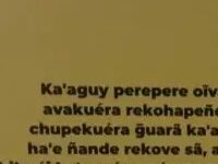 How Paraguayans Have Kept Their Indigenous Language Alive And Thriving
