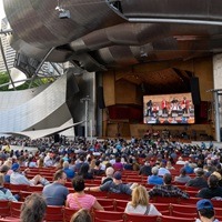 Is Chicago’s Arts Funding Going Up Or Down?