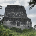 How A Grad Student Found A Hidden Mayan City From His Computer