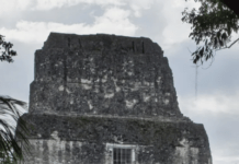 How A Grad Student Found A Hidden Mayan City From His Computer