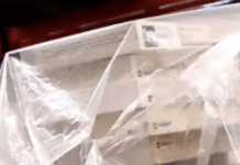 The Motion Picture Academy Just Laid Off A Whole Lot Of People