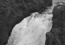 You Can Partly Blame TV For The Demise Of Yellowstone National Park