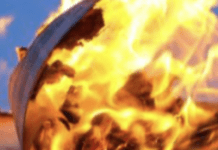 How Public Libraries Can Prepare Themselves For The Incoming Administration