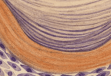 What It’s Like To Write About The Science Behind Being Human