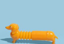 In Our Culture Success Is Often Measured By Its Ability Scale. What If This Is Wrong?