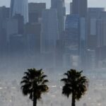 LA’s Vibrant Gallery Scene Seems To Be Collapsing. Why?