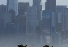 LA’s Vibrant Gallery Scene Seems To Be Collapsing. Why?