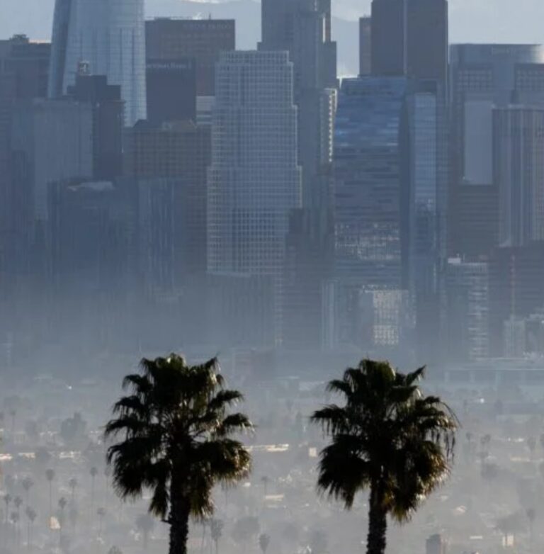 LA’s Vibrant Gallery Scene Seems To Be Collapsing. Why?