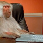 That Idea Chimps Could Randomly Type Shakespeare? Naaah!